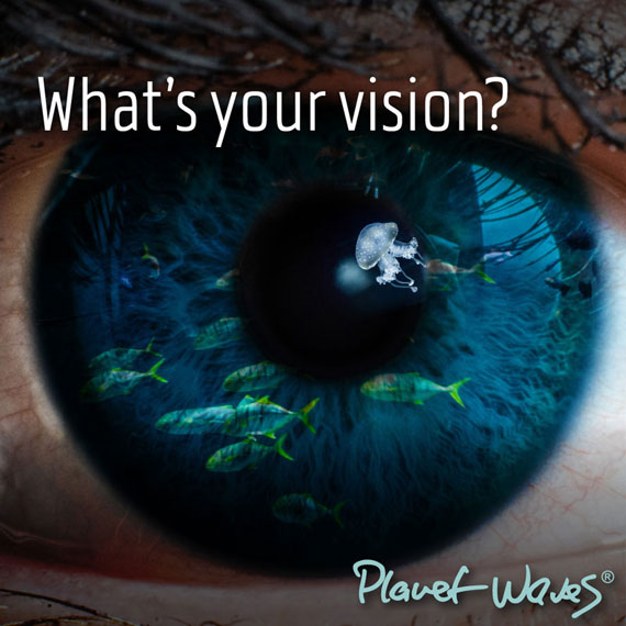 What's Your Vision?